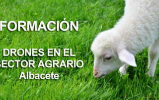 Drones en el sector agrario