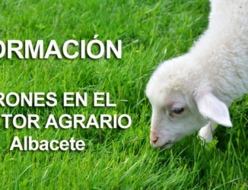 Los drones en el sector Agrario – Formación impartida en Albacete