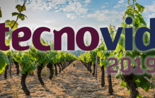 Drone_Tecnovid_Blog_13mar19_viñedo