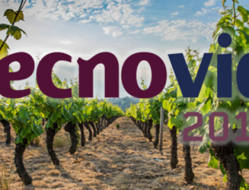 Viñedo y olivar se dieron cita en Feria de Zaragoza