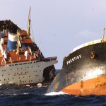 ganadería y veterinaria