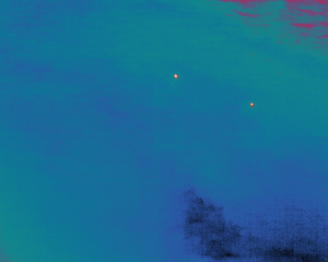 Simulacro - Dos cuerpos localizados en el mar con dron y cámara térmica