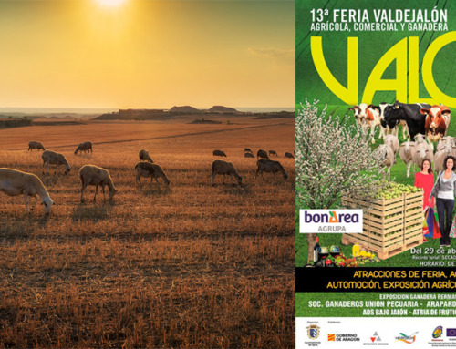 ACG Drone participa en VALGA – Épila (Zaragoza)