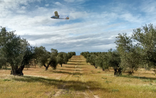Agricultura SIG drones