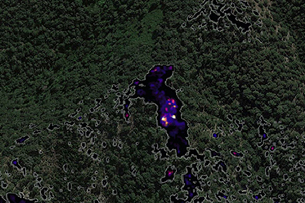 ACG Drone - Termografía con drones - Control de puntos calientes en incendios