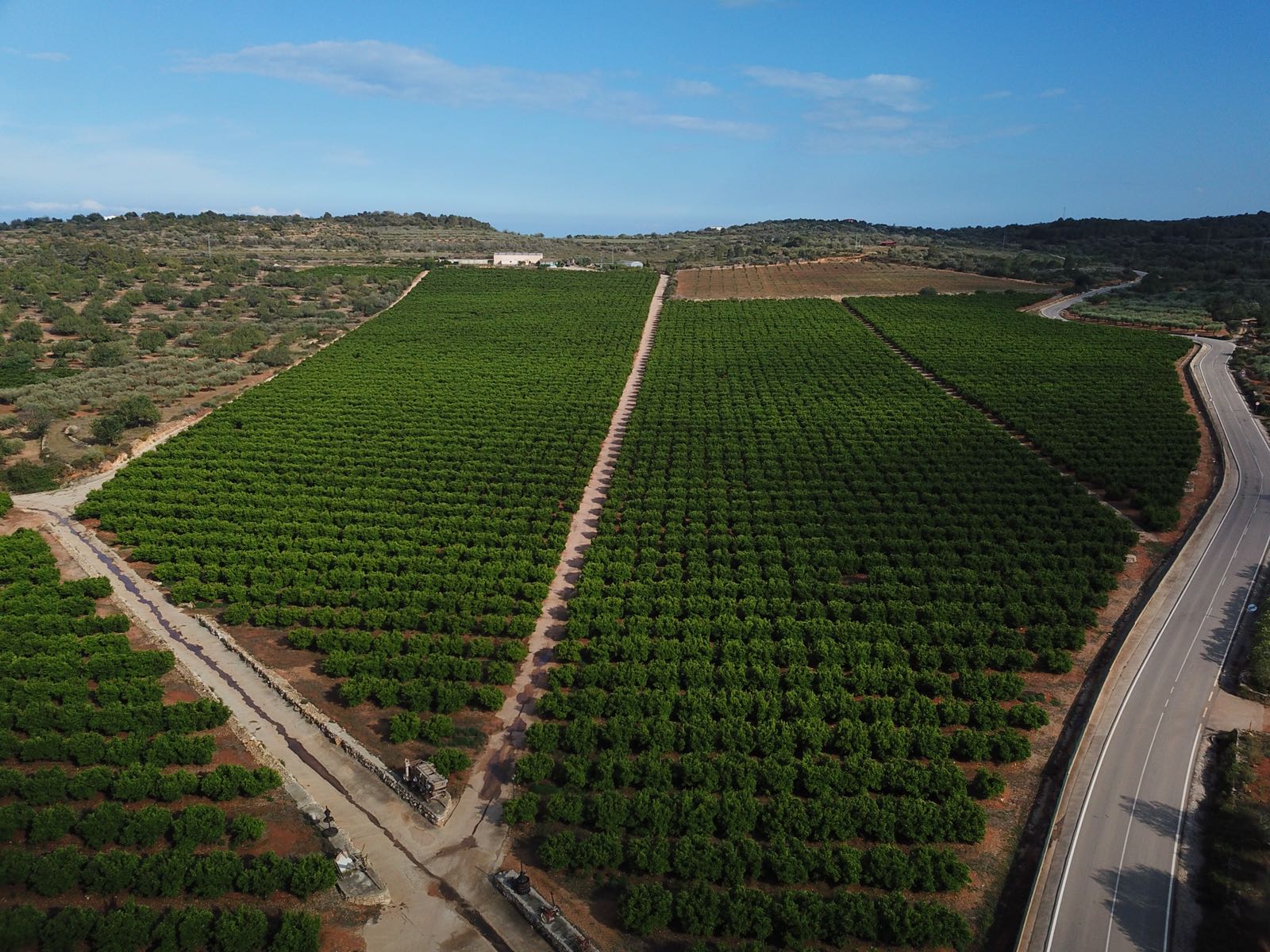 ACG Drone - Agricultura con drones