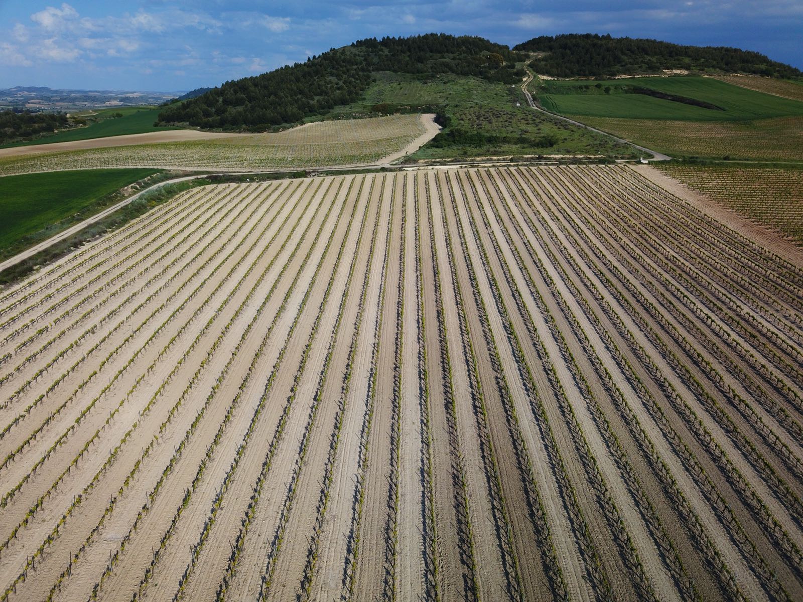 ACG Drone - agricultura de precisión de con drones